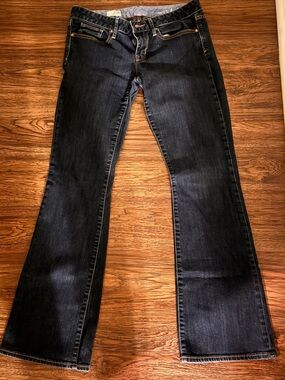 GAP Indigo Flared Wide-Leg Jeans